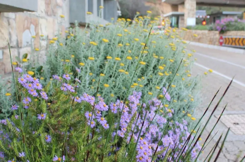 Chapmans Peak Toll Plaza