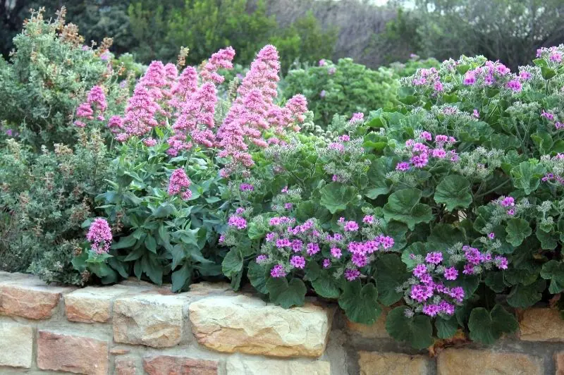 Chapmans Peak Toll Plaza