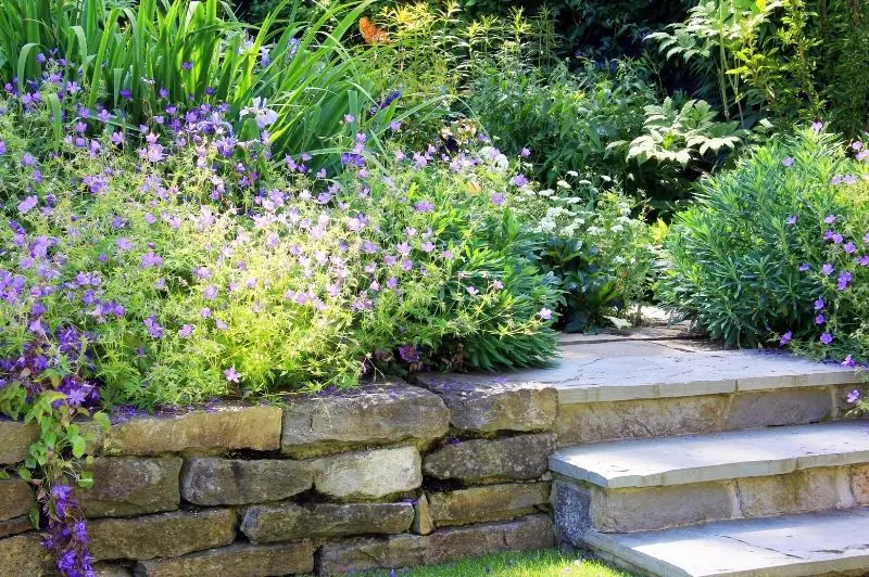 Header Image Header Image