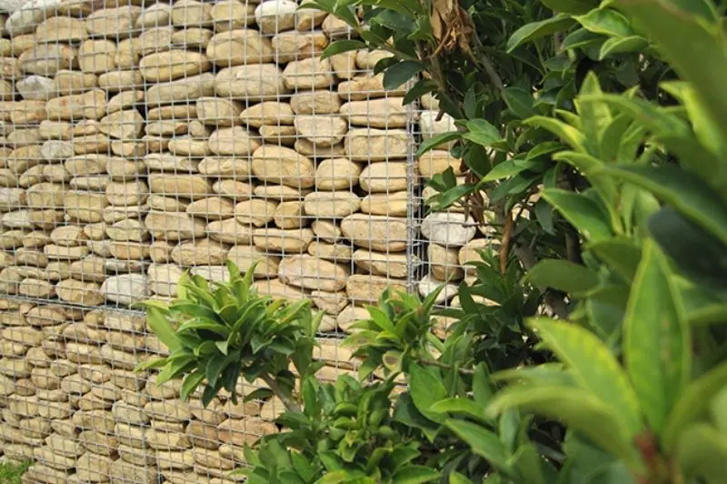 House Poole House Poole