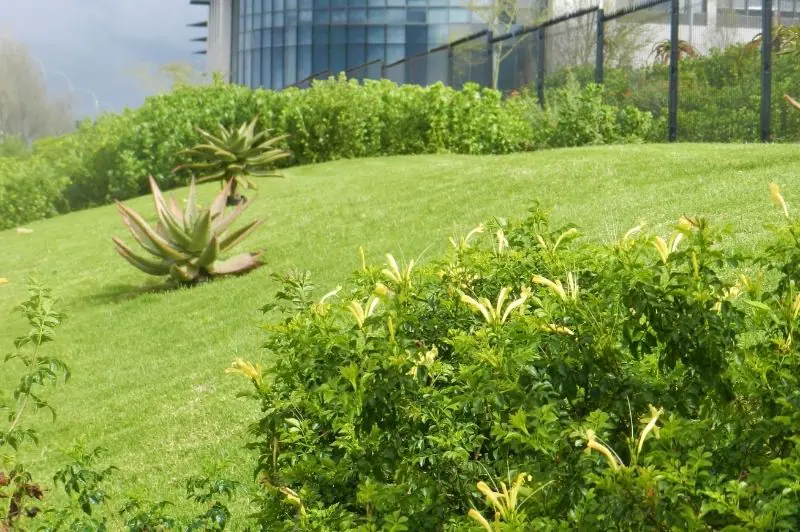 Maintenance Replacement Image