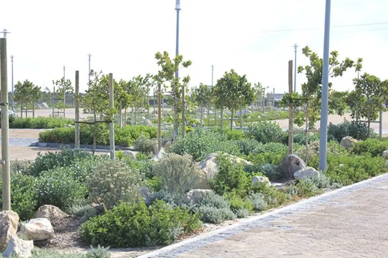 Mitchells Plain Hospital