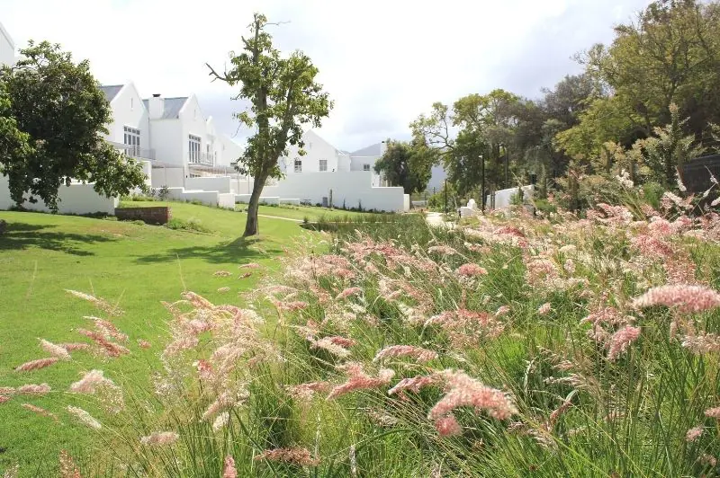 New Court Steenberg