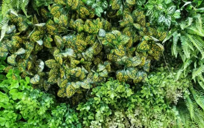 Artificial Plants – Make Your Neighbour Green With Envy