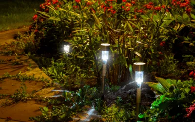 Lights in the Garden: How To Let Your Garden Shine!