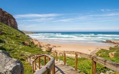 West Coast Garden Style: How To Garden By The Beach