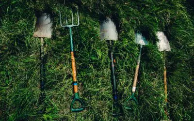 Is Garden Maintenance In Autumn Important?