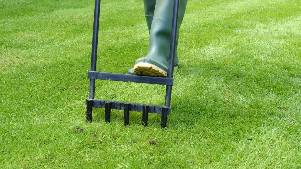 Aerating a lawn as part of a good lawn care routine