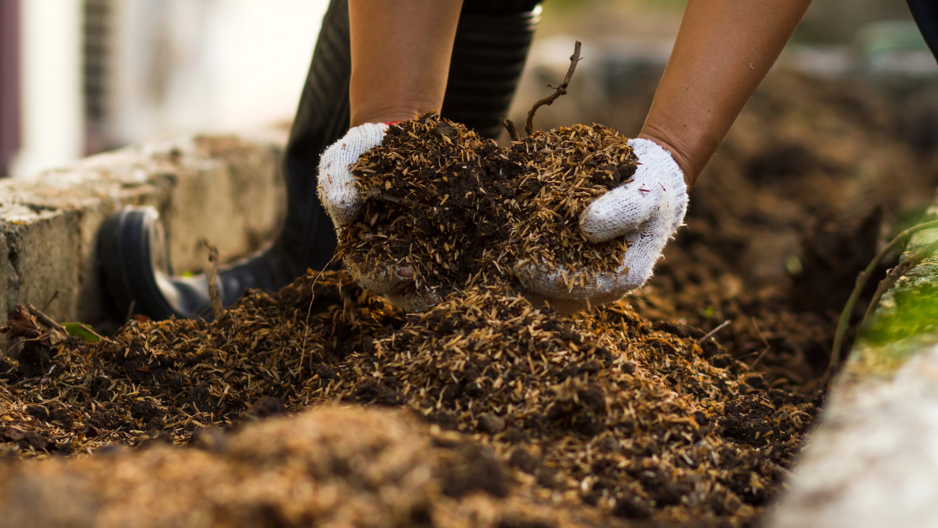 Gloved hands scooping brown mulch and wood chips in a garden bed near a concrete edge
